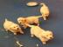 Golden Retriever Welpen f�r Ihr Zuhause