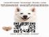 Hundebuch Wei�er Sch�ferhund Welpen Buch