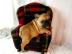 Nette und ruhige Franz�sisch Bulldogge W