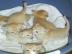 Wir haben diese K�tzchen Abessinier