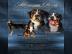 Grosser Schweizer Sennenhund - Welpen mi
