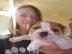 Englischer Bulldoggen welpe