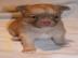 Super S��e Chihuahua Welpen. 
