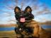 Belgischer Sch�ferhund Malinois
