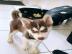 Siberian Husky Welpen suchen ihr neues Z