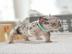 Tolle Franz�sische Bulldogge - M�dchen