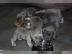 Wundersch�ne franz�sische Bulldoggen wel