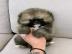 Sch�n Pomeranian Zwergspitz weiss Welpe