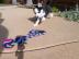 Siberian Husky Welpen mit Stammbaum FCI