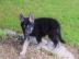 Diese entz�ckenden  suchen nach guten u