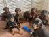 Dobermannwelpen zu verkaufen! WhatsApp-N