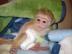 BabyAffen jetzt verf?gbar 8t423