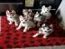 Hervorragende Siberian Husky Welpen zu v