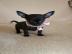 Kurzhaar Chihuahua Welpe R�de