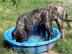 Liebenswert, gl�cklich, liebevoll und v