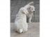 S�sse Golden Retriever Welpen, geimpft u