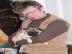 susse m�nnlich und weiblich Mops Welpen