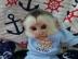 S��e und sch�ne Baby Primateaffen