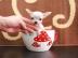 Mini Chihuahua Welpen. . suchen Traumplatz