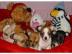Wundersch�ne Chihuahua Welpen