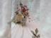 Shiba Inu Welpen