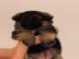 Wundersch�ne Deutsche Sch�ferhunde mit P