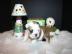 wundersch�ne reinrassige engl.  Bulldogge