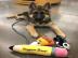 Qualit�tssch�ferhundwelpen