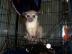 Wundersch�ne Wickelb�r Babys 500EUR