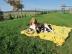 Wundersch�ne Welpen Schweizer Laufhund