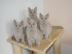 Reinrassige BKH K�tzchen in Blue und Lil