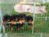 Rottweiler welpen