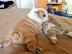 Englische Bulldogge-Welpen