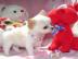 S��e mini Chihuahua Welpen zu verkaufen