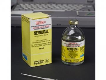 Reine Nembutal (Pentobarbital-Natrium)