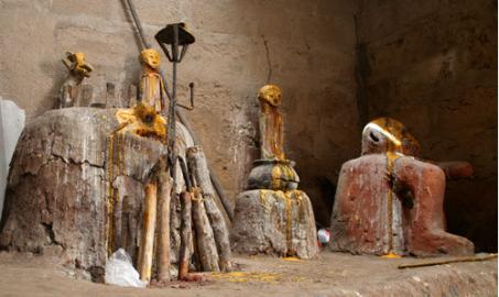 Afrikanischer Marabu