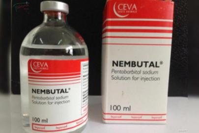 Bestellen Natrium pentobarbital online