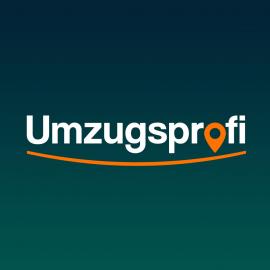 Professionelle Umzugsplanung