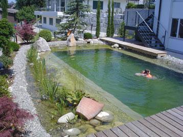 Pond Bau