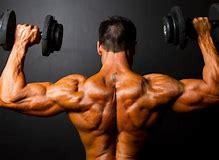 Sport, Ern�hrung und Gesundheit