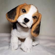 Beagle Welpe sucht noch ein Zuhause
