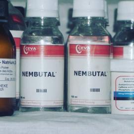 Nembutal zum Verkauf 1| Nembutale t?dlic