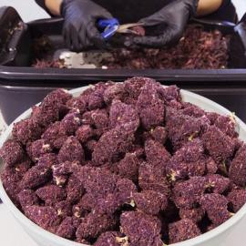 Kush, pain killer drugs