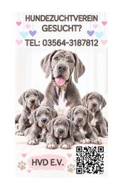 Deutsche Dogge Welpen Buch Ausstattung