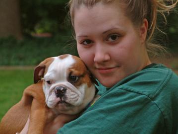 Englischen Bulldoggen (Weibchen/ R�den)