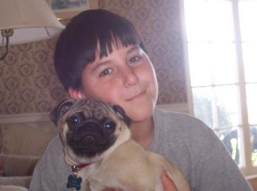 Mops Welpen