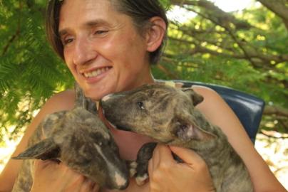 Wundervolle Miniatur Bullterrier aus pll