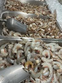 Wholesale Fresh & Frozen Seafood