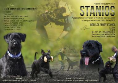 Riesenschnauzer
