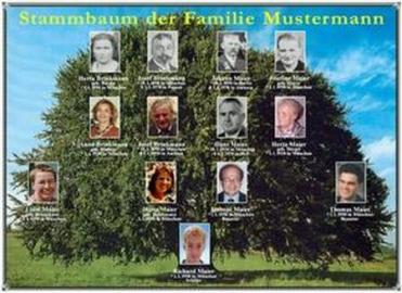 Stammbaum mit  Foto